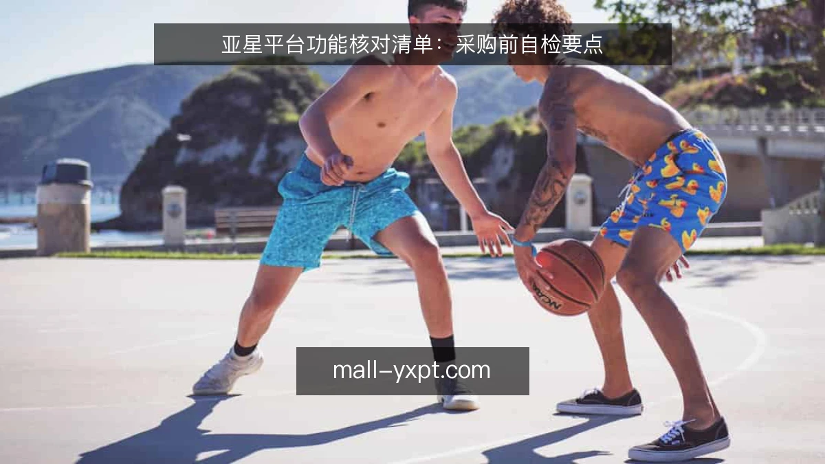 亚星平台功能核对清单:采购前自检要点