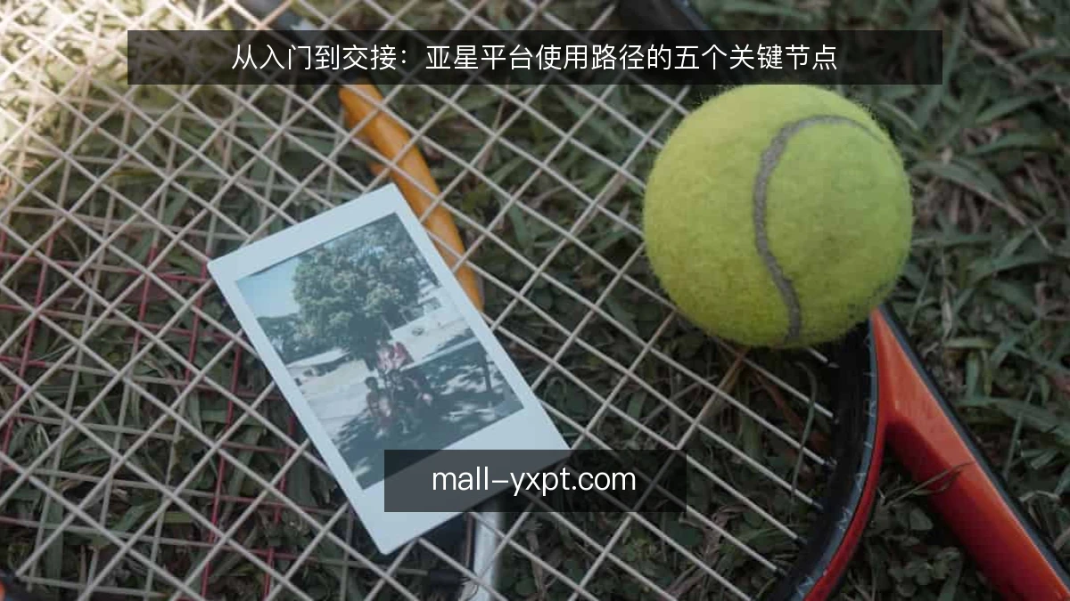 从入门到交接:亚星平台使用路径的五个关键节点