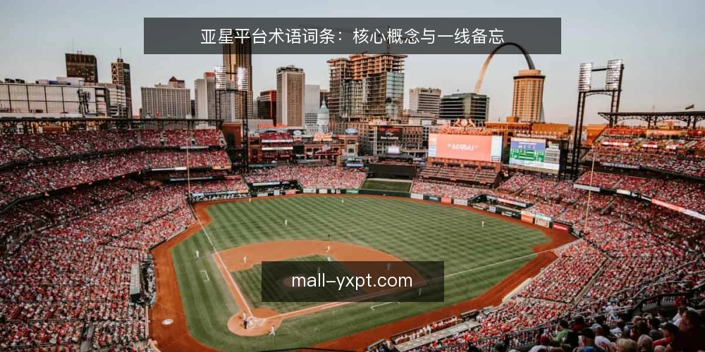 亚星平台术语词条:核心概念与一线备忘 — 现场核查要点:信号识别 配图