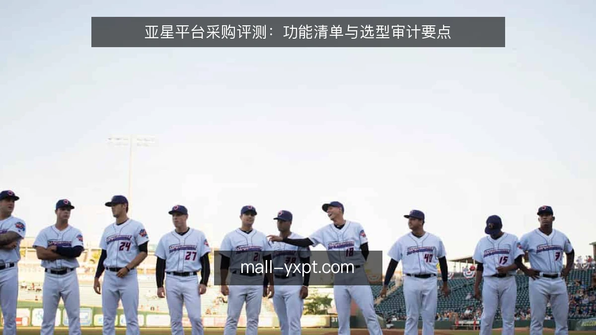 亚星平台采购评测：功能清单与选型审计要点