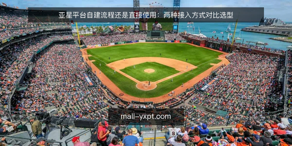 亚星平台自建流程还是直接使用：两种接入方式对比选型 — 先定决策标准：怎么判断该选哪一种 配图