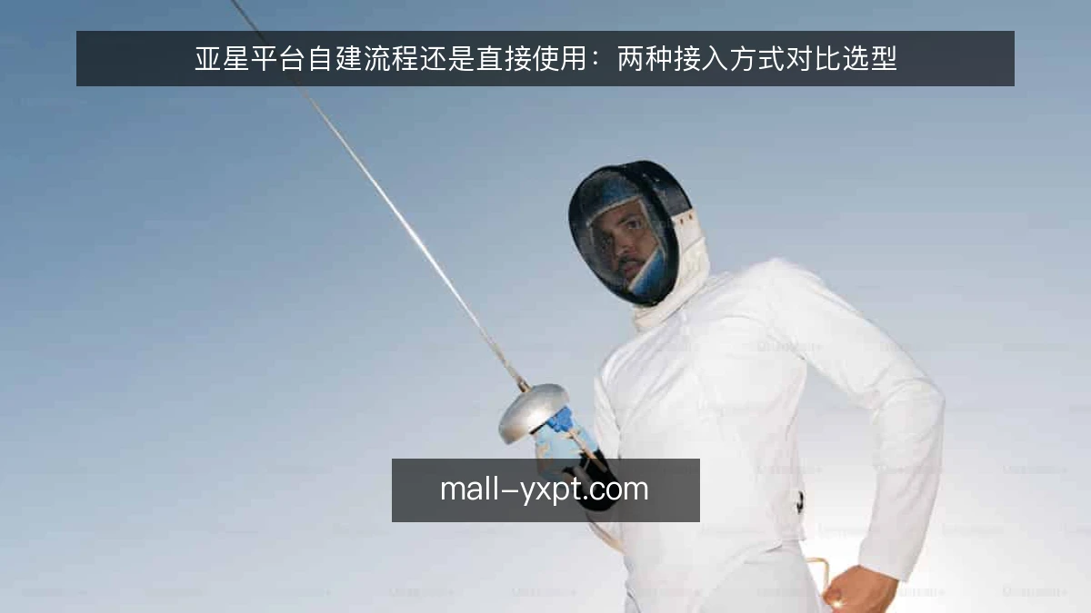 亚星平台自建流程还是直接使用：两种接入方式对比选型