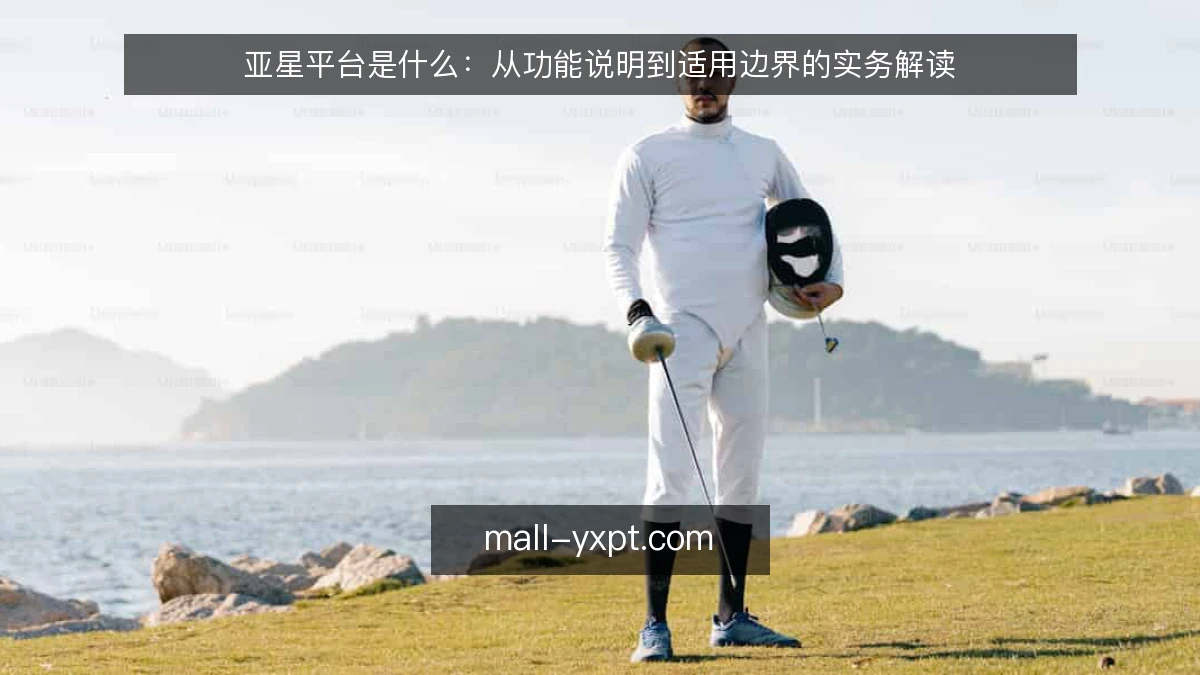 亚星平台是什么：从功能说明到适用边界的实务解读