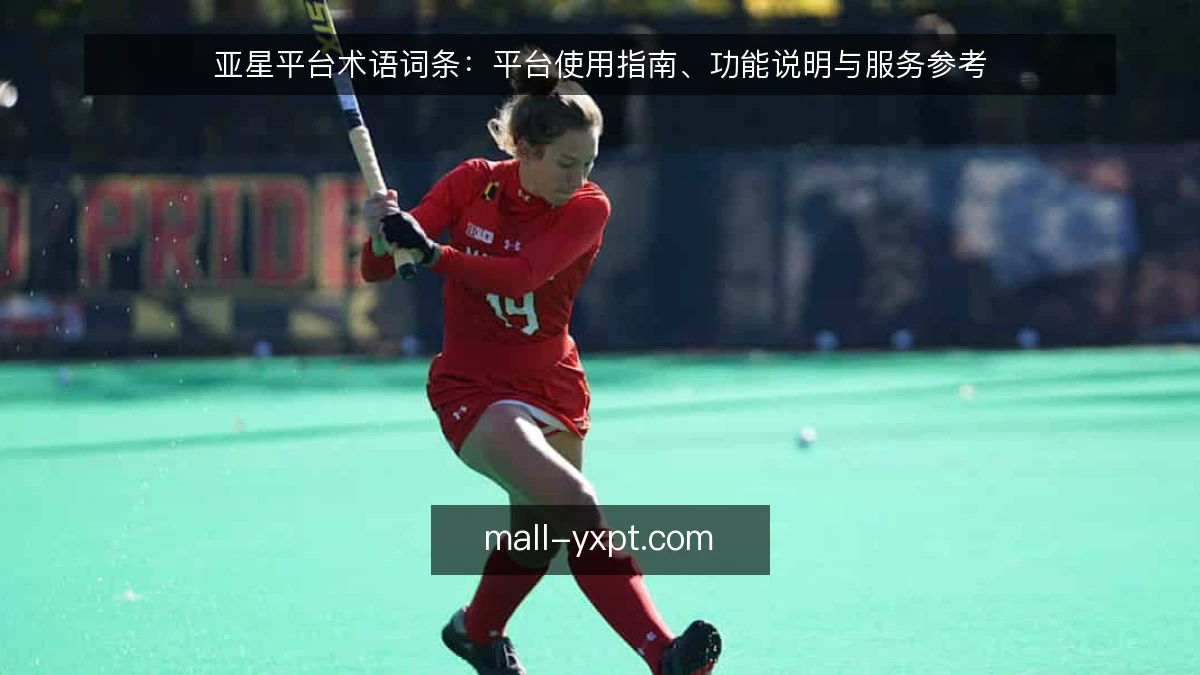 亚星平台术语词条：平台使用指南、功能说明与服务参考