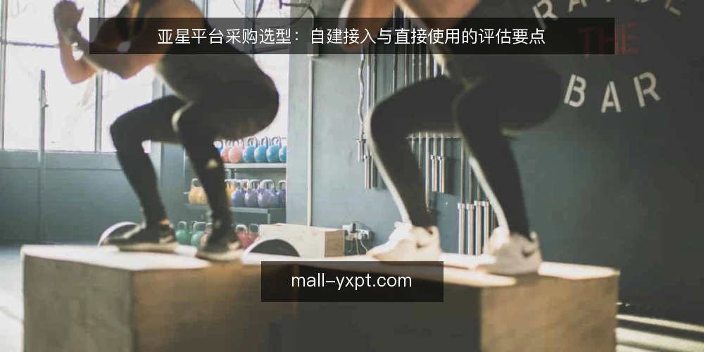 亚星平台采购选型：自建接入与直接使用的评估要点 — 采购前的评估基准 配图