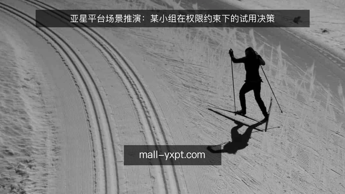 亚星平台场景推演:某小组在权限约束下的试用决策